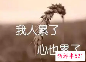 一个人心烦的伤感说说