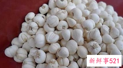 川贝母冰糖炖雪梨的禁忌