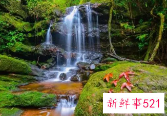 无根水的风水作用