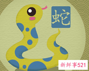 蛇在中国象征什么