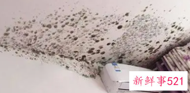 什么漆可以防霉防潮