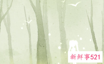 做梦梦见拿别人的包包