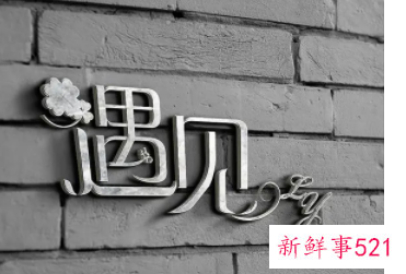 散文《最美的遇见》董卿