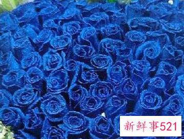 老年享福的三大生肖女