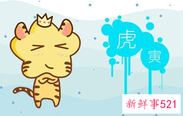 男的属虎女的属龙好不好