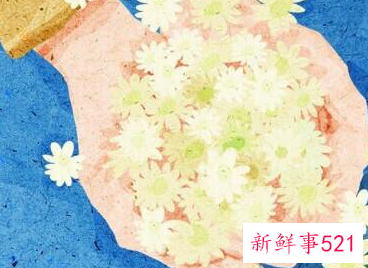 十二星座的专属幸运花是什么