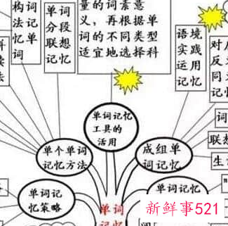 六年级上册英语单词