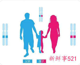 孩子做完亲子鉴定能改姓名吗