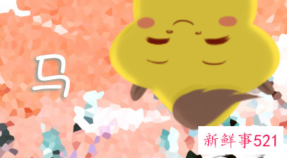 属猪女和属马男生配吗