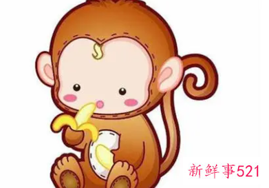 属猴的女性配什么属相最好