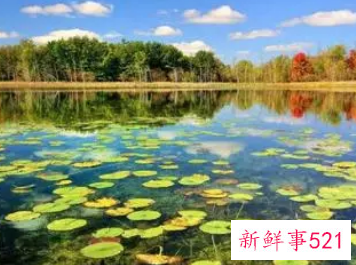 梦见湖水臭是什么意思