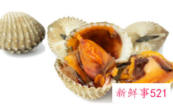 鲍鱼的营养功效与作用及哪些人不能吃