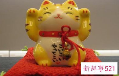 属蛇的人家里适合摆放什么