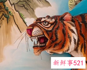 女属虎男属龙会旺夫吗