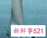 女人穿什么鞋有气质