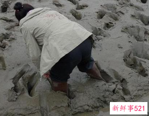 梦见自己陷进泥里是什么意思