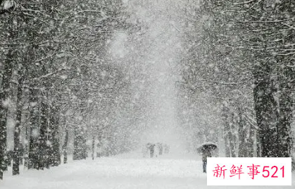 寒潮天气特点及危害