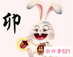 属兔2022年的运气如何