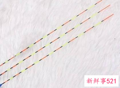 冬天如何夜钓鲢鳙