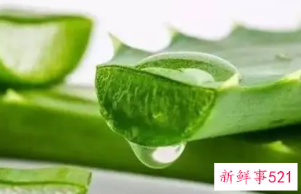 怎样自制简单有效的美白面膜