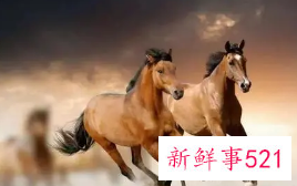 最不被老公心疼的四大生肖女