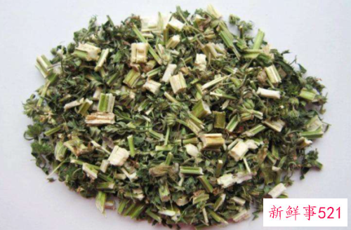 益母草茶该怎么泡