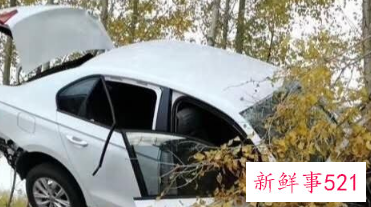 车祸去世是意外还是命