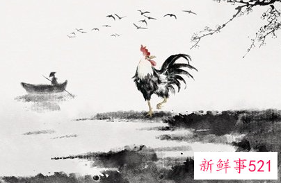 素质人品最好的生肖女