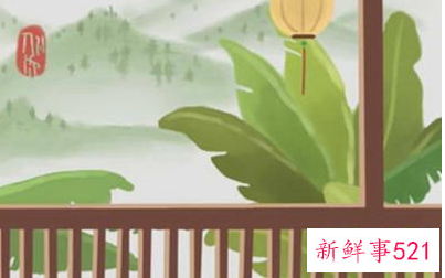 最旺运旺财的风水植物