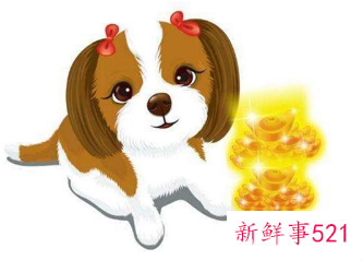 属狗男最爱哪个生肖女