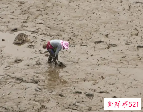 梦见自己陷进泥里是什么意思