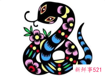 属蛇遇虎年运势