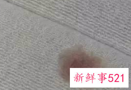 床垫上发黄怎么清洗