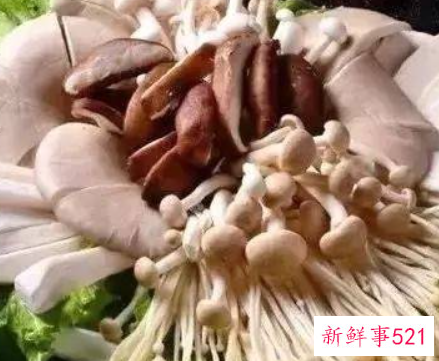 受伤后要注意哪些饮食禁忌图片