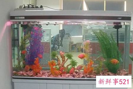办公室的鱼缸怎么摆放好呢