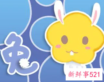 属兔2022年的运气如何