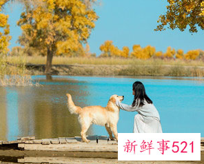 出轨被男朋友知道了怎么挽回