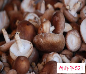 小孩吃香菇的营养价值及功效与作用