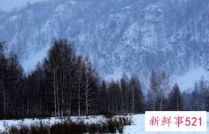 漠河最冷的时候是几月