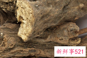 首乌藤的作用和功效禁忌