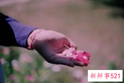 有种淡淡伤感的唯美心情说说