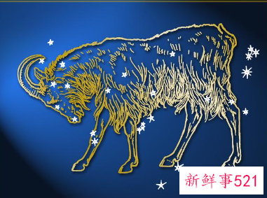 哪些星座男在婚后更可能恋家