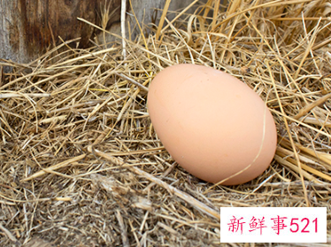 女性长期吃鹅蛋的益处