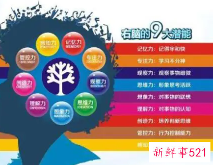 右脑开发图片1000