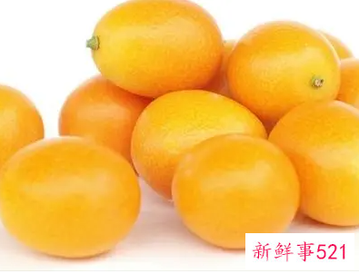 黄金桔子的作用与功效