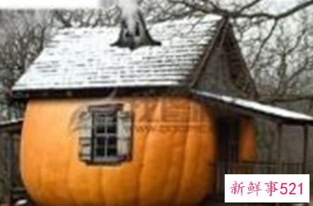 世界上最奇葩的房子