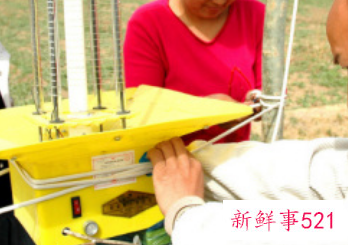 房间有虫子怎么驱虫啊