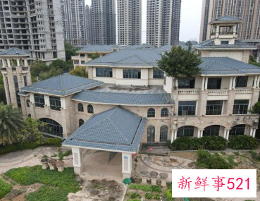 光耀集团破产清算，近4亿元资产将被公开拍卖