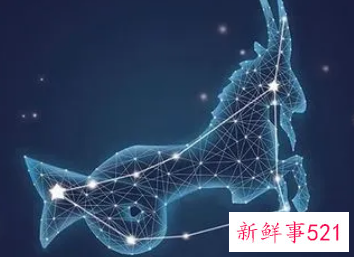 摩羯座喜爱什么星座