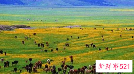 梦见牧场是什么意思